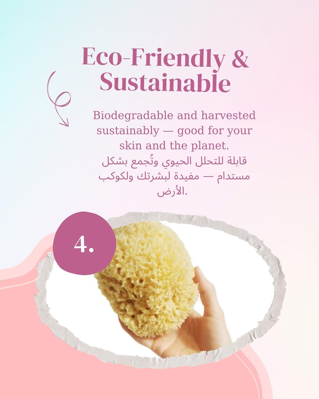 Natural sea sponge