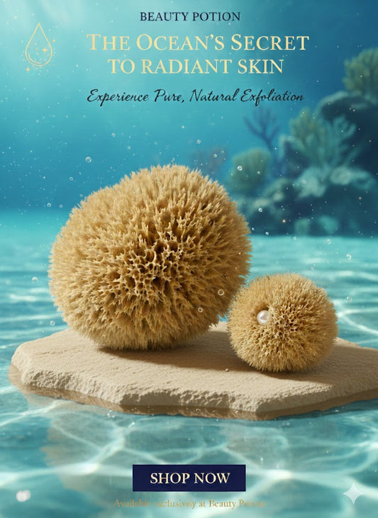 Natural sea sponge
