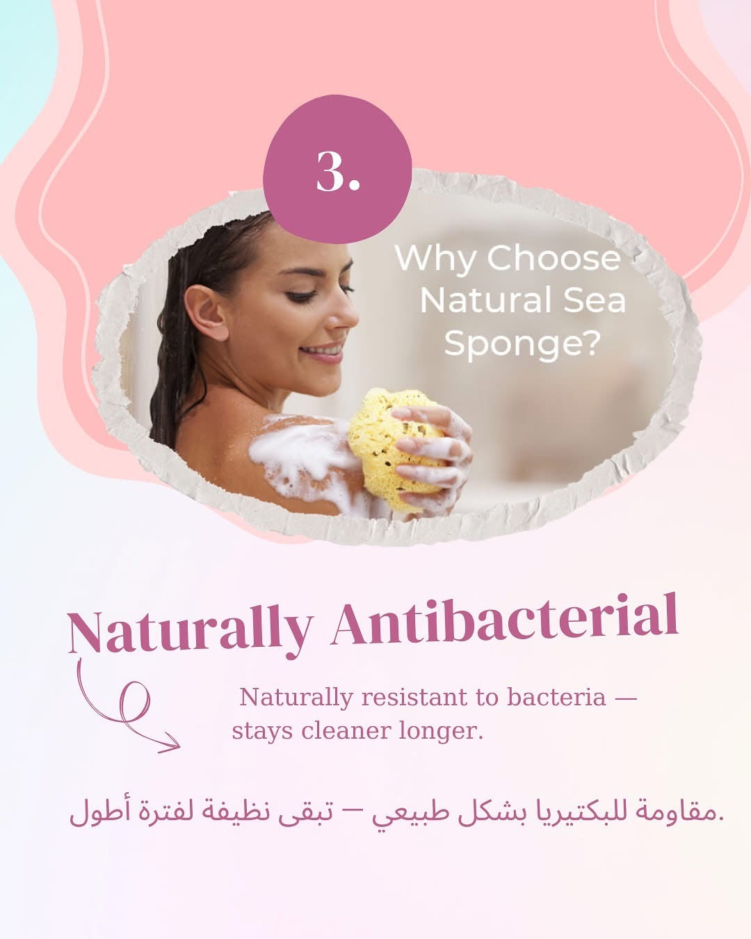 Natural sea sponge